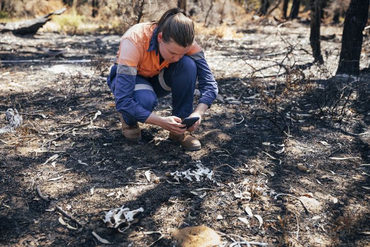 A private investigator at the scene of an arson investigation